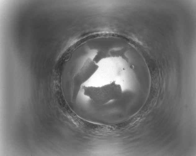 X0000066521255200603171209