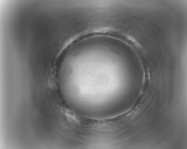 X0000066521256200603171209