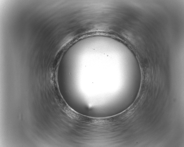 X0000066521258200603171209