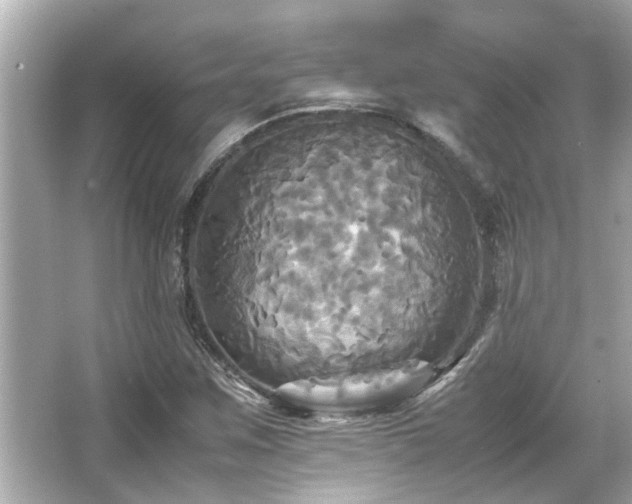 X0000066521259200603171209