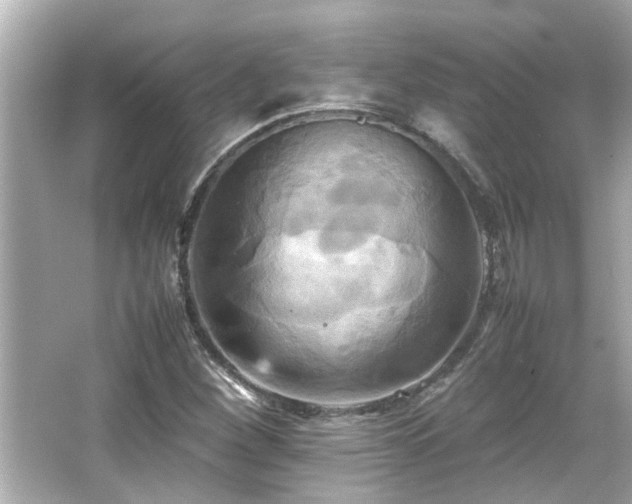 X0000066521260200603171209