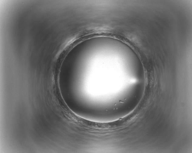 X0000066521261200603171209