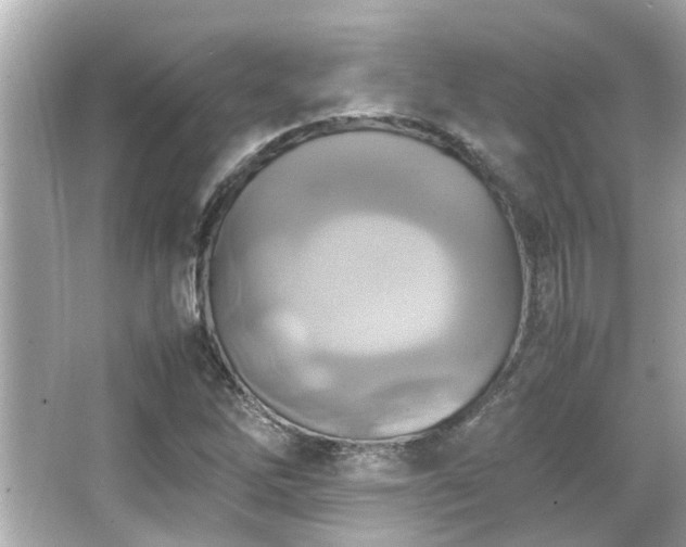 X0000066521262200603171209