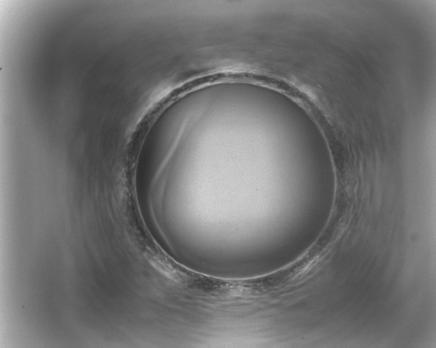 X0000066521263200603171209