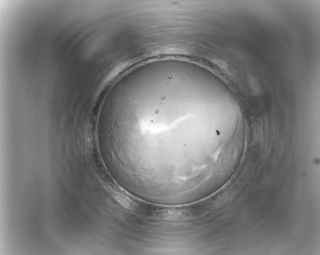 X0000066521266200603171209