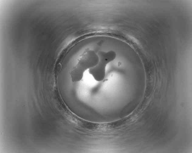 X0000066521267200603171209