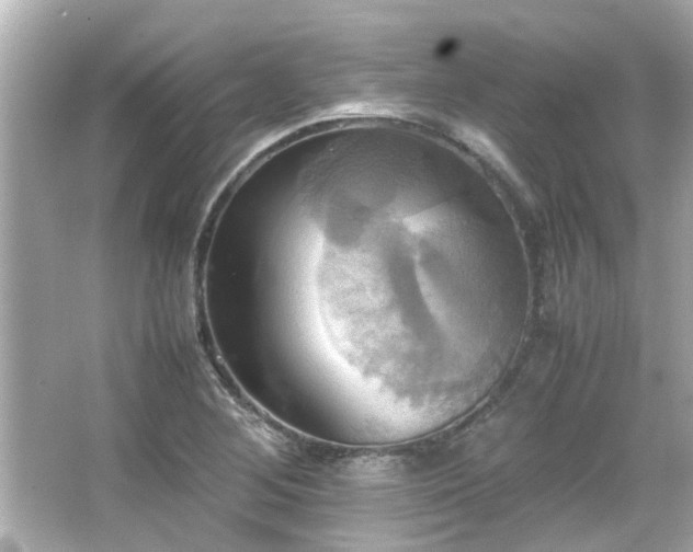 X0000066521268200603171209