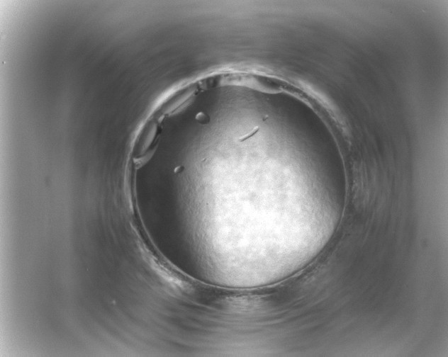 X0000066521272200603171209