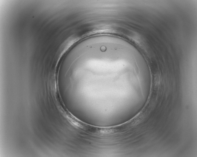 X0000066521274200603171209