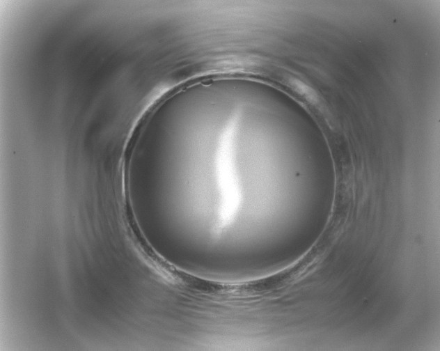 X0000066521275200603171208