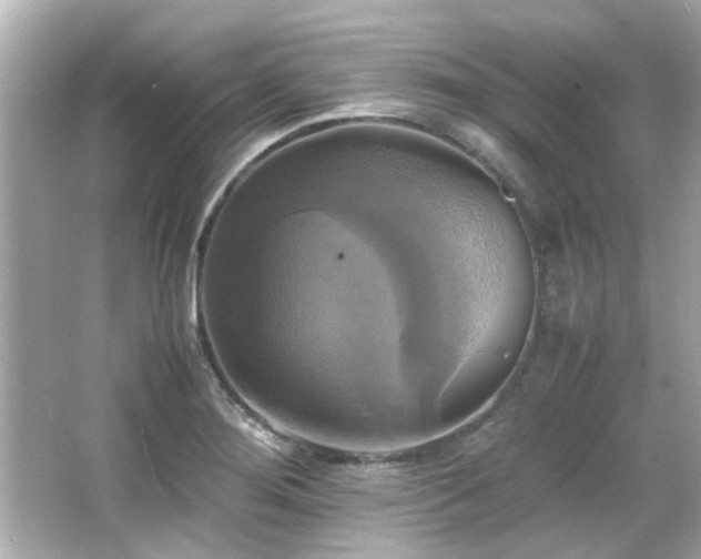 X0000066521276200603171208