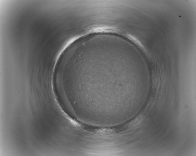 X0000066521277200603171208