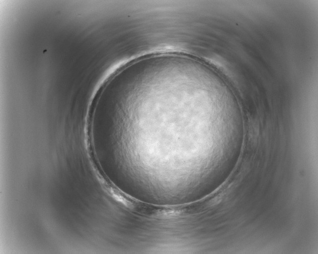 X0000066521278200603171208