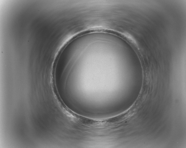 X0000066521279200603171208