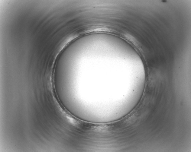 X0000066521282200603171208