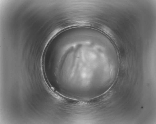 X0000066521283200603171208