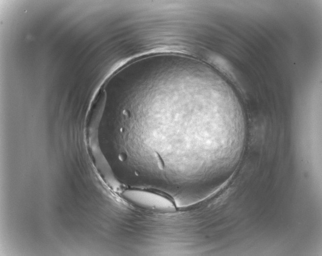 X0000066521284200603171208