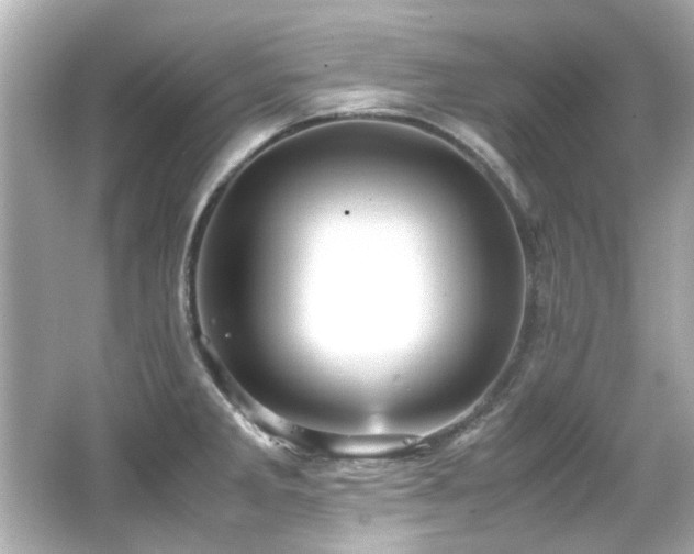 X0000066521285200603171208