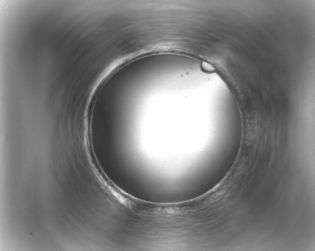 X0000066521286200603171208