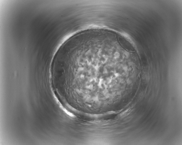 X0000066521287200603171208