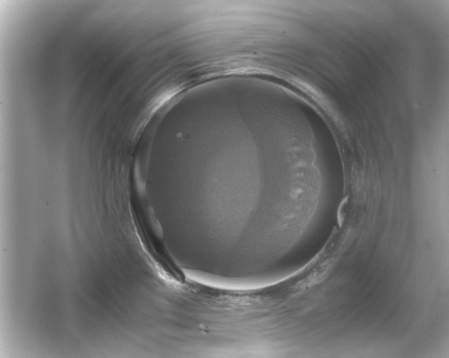 X0000066521289200603171208