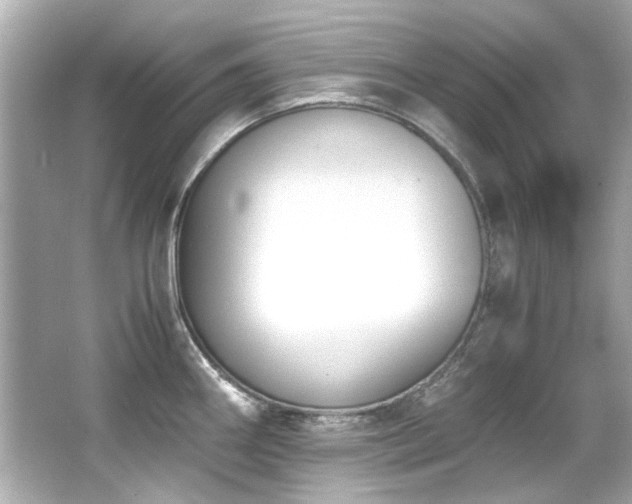 X0000066521290200603171208