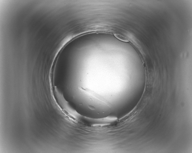 X0000066521291200603171208