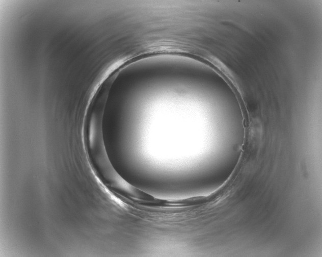 X0000066521293200603171208