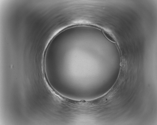 X0000066521295200603171208