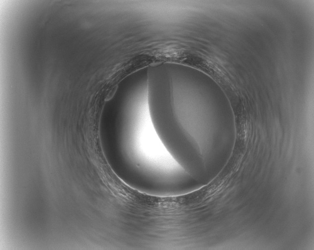 X0000066521297200603171207