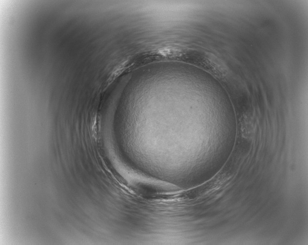 X0000066521298200603171207