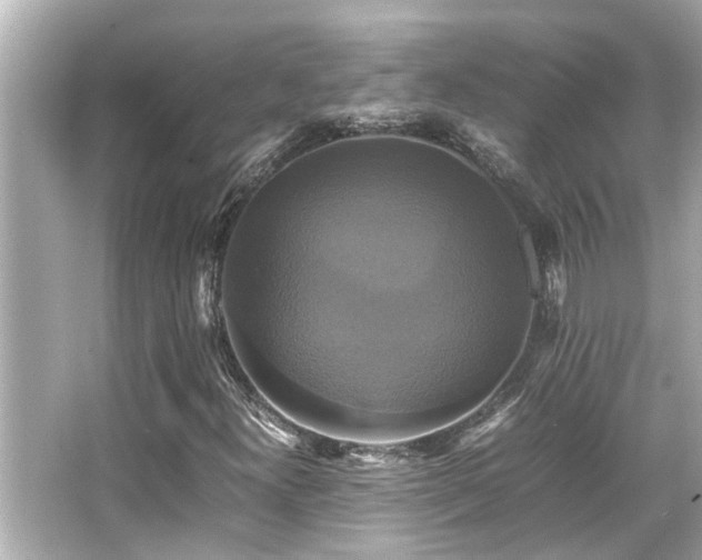 X0000066521300200603171207