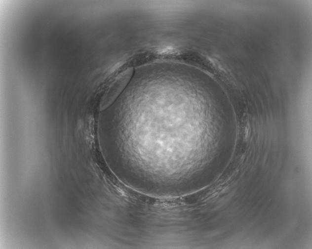 X0000066521301200603171207