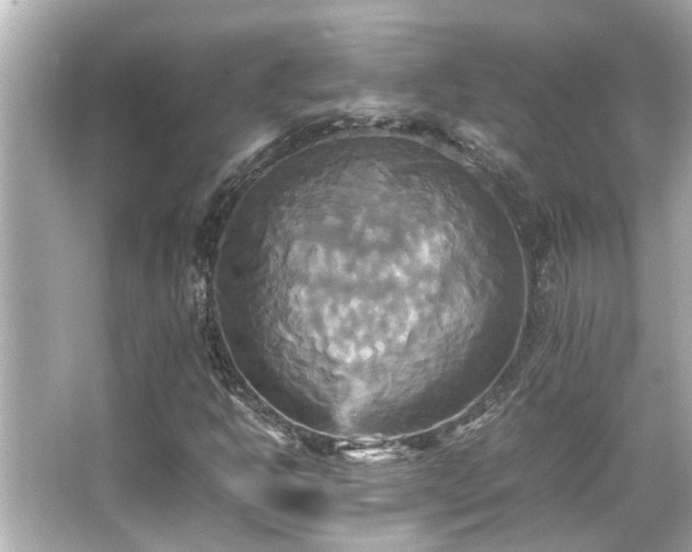 X0000066521302200603171207