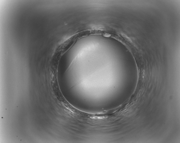 X0000066521303200603171207