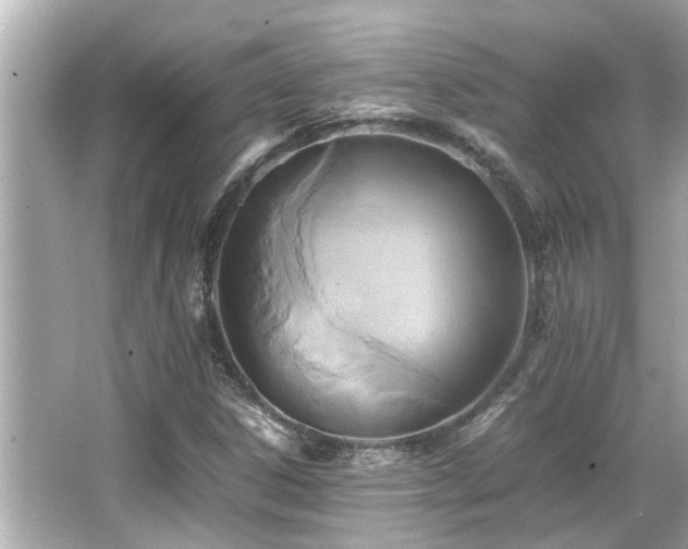 X0000066521306200603171207