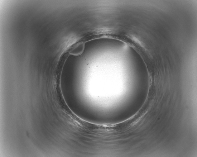 X0000066521309200603171208