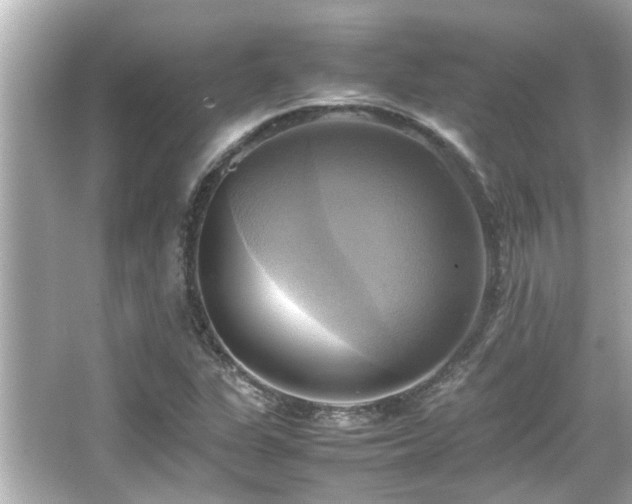 X0000066521311200603171208