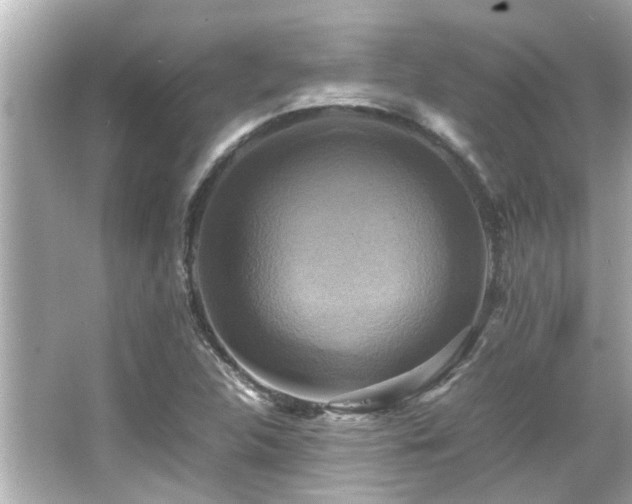 X0000066521312200603171208