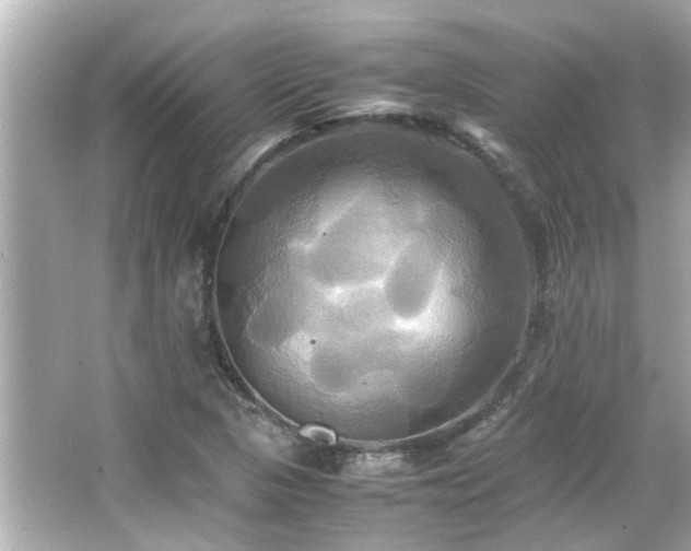 X0000066521313200603171208