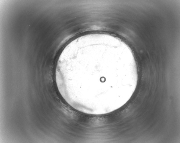 X0000066521314200603171208