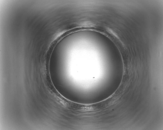 X0000066521315200603171208