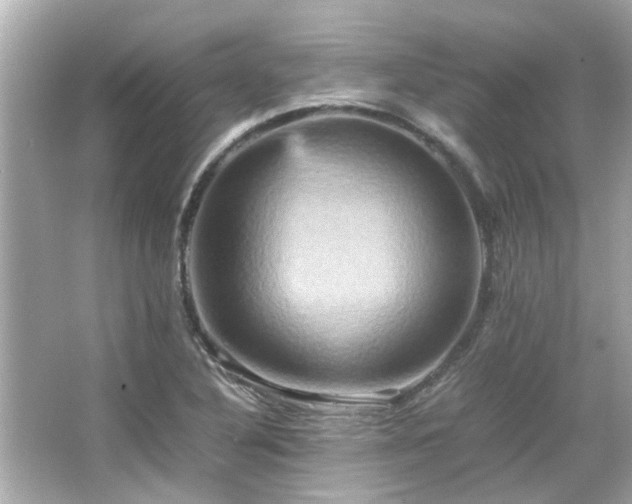 X0000066521316200603171208