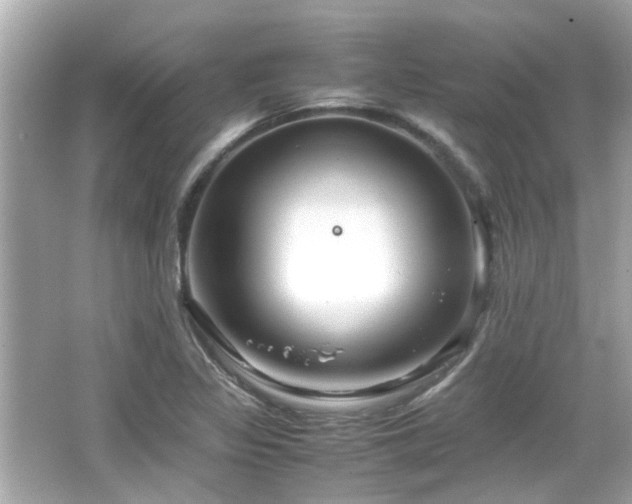 X0000066521317200603171208