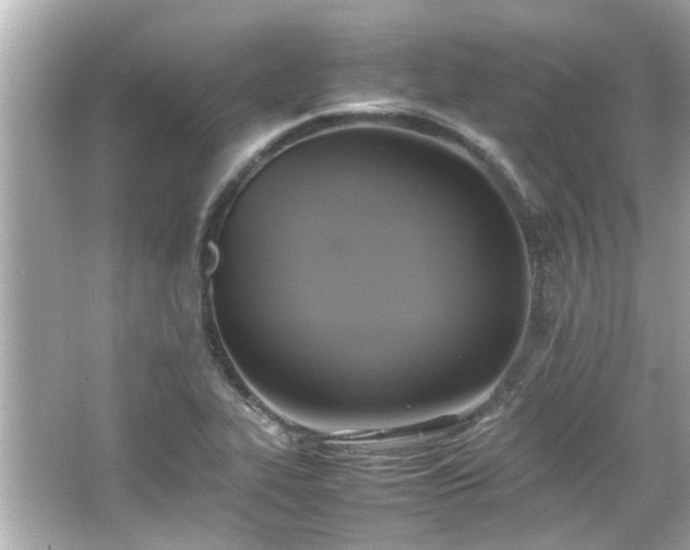 X0000066521319200603171208