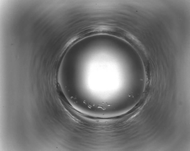 X0000066521321200603171208