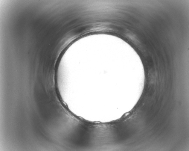 X0000066521322200603171208