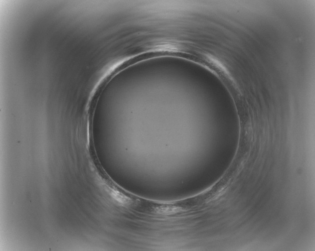 X0000066521323200603171208