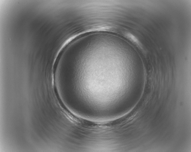 X0000066521324200603171208