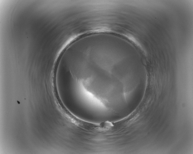 X0000066521325200603171208